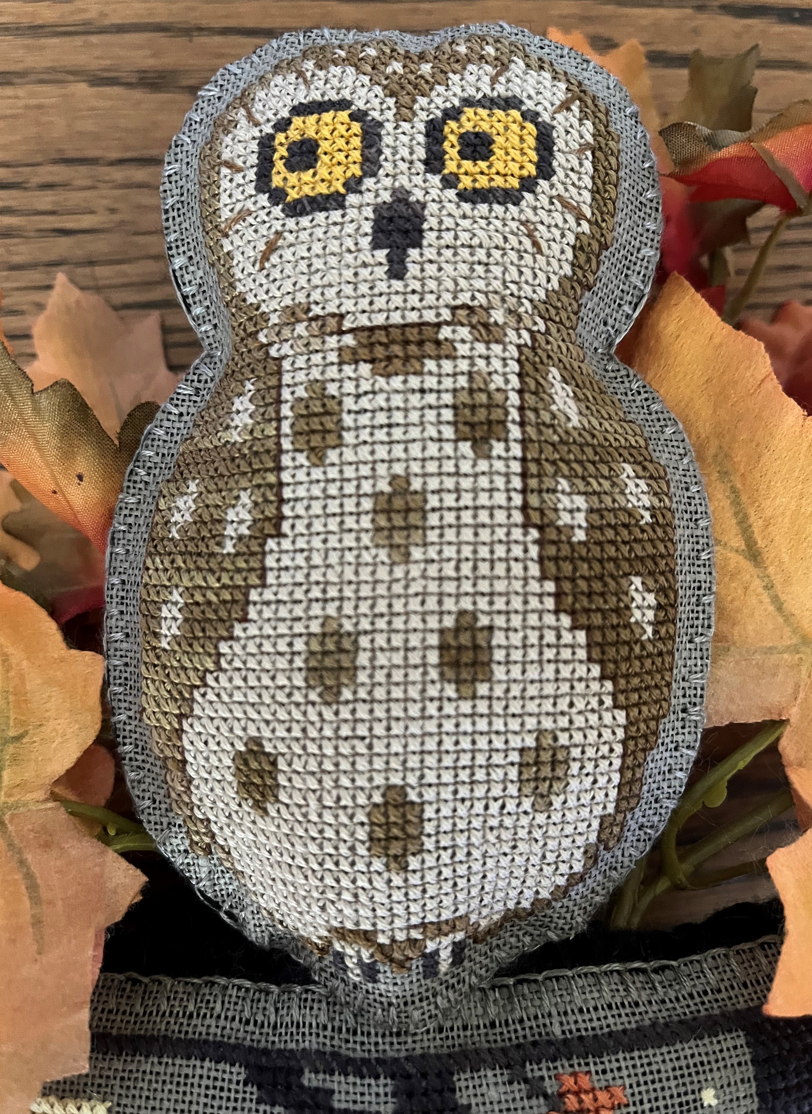 Owl Close-up
